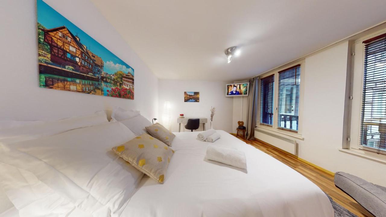 Coeur De Appartement Straatsburg